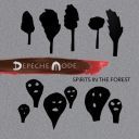 Depeche Mode - Spirits In The Forest Live Spirits (2020) [Blu-ray] [DTS-HD Master Audio] [1080p]