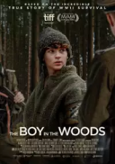 Chlopiec w lesie / The Boy in the Woods (2023) [1080p] [WEB-DL] [H264] [AAC] [Lektor PL]