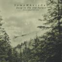 SomeWhereOut (Spain) - Deep in the Old Forest (Expanded Edition) (2021-2025) [FLAC] [24bit-44.1khz] [t0deusz]