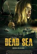 Coś w wodzie / Dead Sea (2024) [PL.720p.edition-BlueRay.H265.DarK] [Lektor PL] [mkv] [FIONA9]