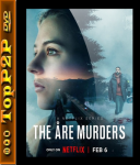 Morderstwa w Åre / The Åre Murders / Åremorden [Sezon 1] [MULTi] [1080p] [NF] [WEB-DL] [H264] [DDP5.1-K83] [Lektor PL i Napisy PL]