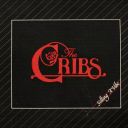 The Cribs - Selling A Vibe (2026) [Hi-Res] [FLAC]