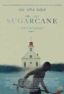 Sugarcane: rozliczenie z przeszłością / Sugarcane (2024) [480P] [WEB-DL] [H264] [AAC] [LEKTOR-PL]