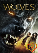 Wilki - Wolves 2014 [10Bit SDR UPSCALING] [2160p BluRay H265 AC3-AS76-FT] [Lektor PL] [Alusia]