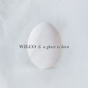Wilco - A Ghost Is Born (Expanded Edition) (2025) [Mp3 320kbps]