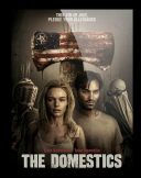 Zwykli obywatele / The Domestics (2018) [480p] [BRRip] [XviD] [DD5.1-K83] [Lektor PL] [avi] [FIONA9]