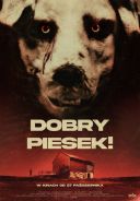 Dobry piesek! / Good Boy / Meg, deg &amp; Frank (2022) [PL AI 1080p WEB-DL DD5 1-DSiTE] [x264] [Lektor PL syntezator mowy] [mkv] [FIONA9]