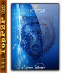 The Bear [Sezon 3] [MULTi] [1080p] [DSNP] [WEB-DL] [H264] [DDP5 1-K83] [Lektor PL i Napisy PL]
