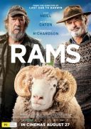 Barany / Rams (2020) [BRRip.XviD-GR4PE] [Lektor PL]