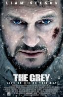 Przetrwanie - The Grey (2011) [480p] [BRRip] [XviD] [AC3-LTN] [Lektor PL]