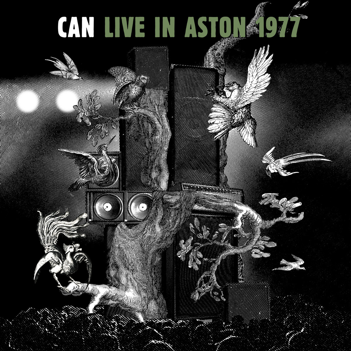 CAN - LIVE IN ASTON 1977 (2024) [MP3@320] [FALLEN ANGEL]