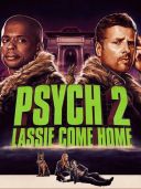Świry 2 / Psych 2: Lassie Come Home (2020) [PL.720p.WEB-DL.XViD.AC3-Yag] [Lektor PL] [avi]  [FIONA9]