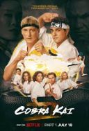 Cobra Kai (2024-2025) [Sezon 6] [MULTi] [1080p] [NF] [WEB-DL] [x264-KiT] [Lektor &amp; Napisy PL]