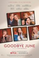 Żegnaj, June / Goodbye June (2025) [PL.480p.WEB-DL.XviD.DD5.1-K83] [Lektor PL] [avi] [FIONA9]
