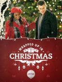 Milosc pod choinka / Wrapped Up In Christmas (2017) [HDTV] [XviD-GR4PE] [Lektor PL] [avi] [FIONA9]