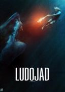 Ludojad / Great White (2021) [720p] [BDRip] [XviD] [AC3-ELiTE] [Lektor PL]