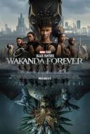 Czarna Pantera: Wakanda w moim sercu / Black Panther: Wakanda Forever (2022) [h265] [1280x536] [Dubbing  PL] [mkv]  [FIONA9]