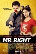 Pan Idealny / Mr  Right (2015) [PL BDRip XviD-KiT] [Lektor PL] [avi]  [FIONA9]