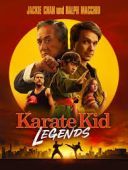 Karate Kid: Legendy / Karate Kid: Legends (2025) [WEB-DL.XviD-NN] [Dubbing PL] 