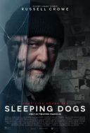 Ksiega luster - Sleeping Dogs (2024) [XviD 720p] Lektor PL [DD 5 1] M80