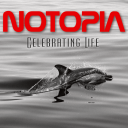 Notopia (Portugal) - Celebrating Life (2017) [FLAC] [24bit-44.1kHz] [t0deusz]