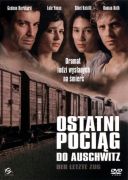 Ostatni pociąg do Auschwitz / Letzte Zug, Der (2006) [XviD] [336p] [Lektor PL]