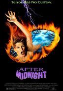 Po północy / After Midnight (1989) [PL.480p.WEB-DL.XviD.AC3] [Lektor PL] [avi] [FIONA9]
