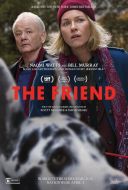 Przyjaciel / The Friend (2024) [MULTi.1080p.BluRay.x264.AC3-KiT] [Lektor PL] [mkv]  [FIONA9]