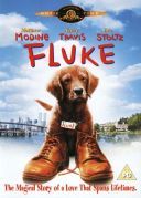 Psim tropem do domu / Fluke (1995) [PL.1080p.WEBRip.x264.AC3-CX] [Lektor PL] [mkv]  [FIONA9]