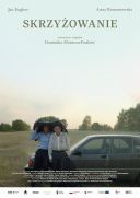 Skrzyżowanie (2024) [PL.720p.WEB-DL.XviD.AC3-OzW] [Film polski] [avi]  [FIONA9]