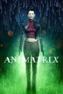 The Animatrix (2003) [MULTi 1080p WEB-DL H264-FOX] [Lektor PL] [mkv]  [FIONA9]