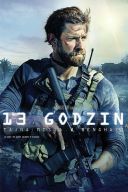 13 Godzin: Tajna misja w Benghazi/13 Hours: The Secret Soldiers of Benghazi (2016) [1080p] [BRRip] [H264] [AC3-d11] [Lektor PL]