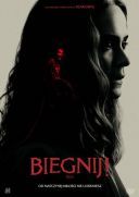 Biegnij! / Run (2020) [720p BDRip H264 AC3-K83] [Lektor PL]