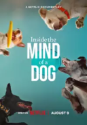 W głowie psa / Inside the Mind of a Dog (2024) [720p] [WEB-DL] [XviD] [AC3-PT] [Lektor PL]