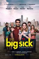 I tak Cię kocham / The Big Sick (2017) [PL.BDRip.x264-LPT] [Lektor PL] [mkv]  [FIONA9]
