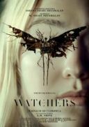Obserwatorzy / The Watchers (2024) [PL 1080p MAX WEB-DL H264 DDP5 1-FOX] [Lektor PL] [mkv]  [FIONA9]