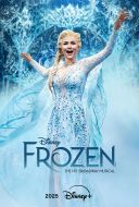 Kraina Lodu na Broadwayu / Frozen: The Hit Broadway Musical (2025) [PLSUB.1080p.DSNP.WEB-DL.H264.DDP5.1.Atmos-K83] [Napisy PL] [mkv]  [FIONA9]