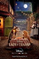 Zakochany kundel / Lady and the Tramp (2019) [DUB.720p.WEB-DL] [XviD] [AC3-MORS] [Dubbing PL] [avi] [FIONA9]