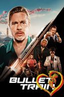 Bullet Train 2022 [1080p.BluRay.H265-FT] [Lektor PL] [Alusia]