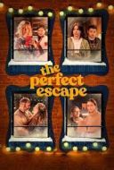 Uciekajac przed miloscia / The Perfect Escape (2023) [480p] [WEB-DL] [XviD] [AC3-OzW] [Lektor PL]