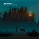 Strange Pop (Poland) - Ghost in the Old Tape (2025) [FLAC] [24bit-44.1kHz] [t0deusz]