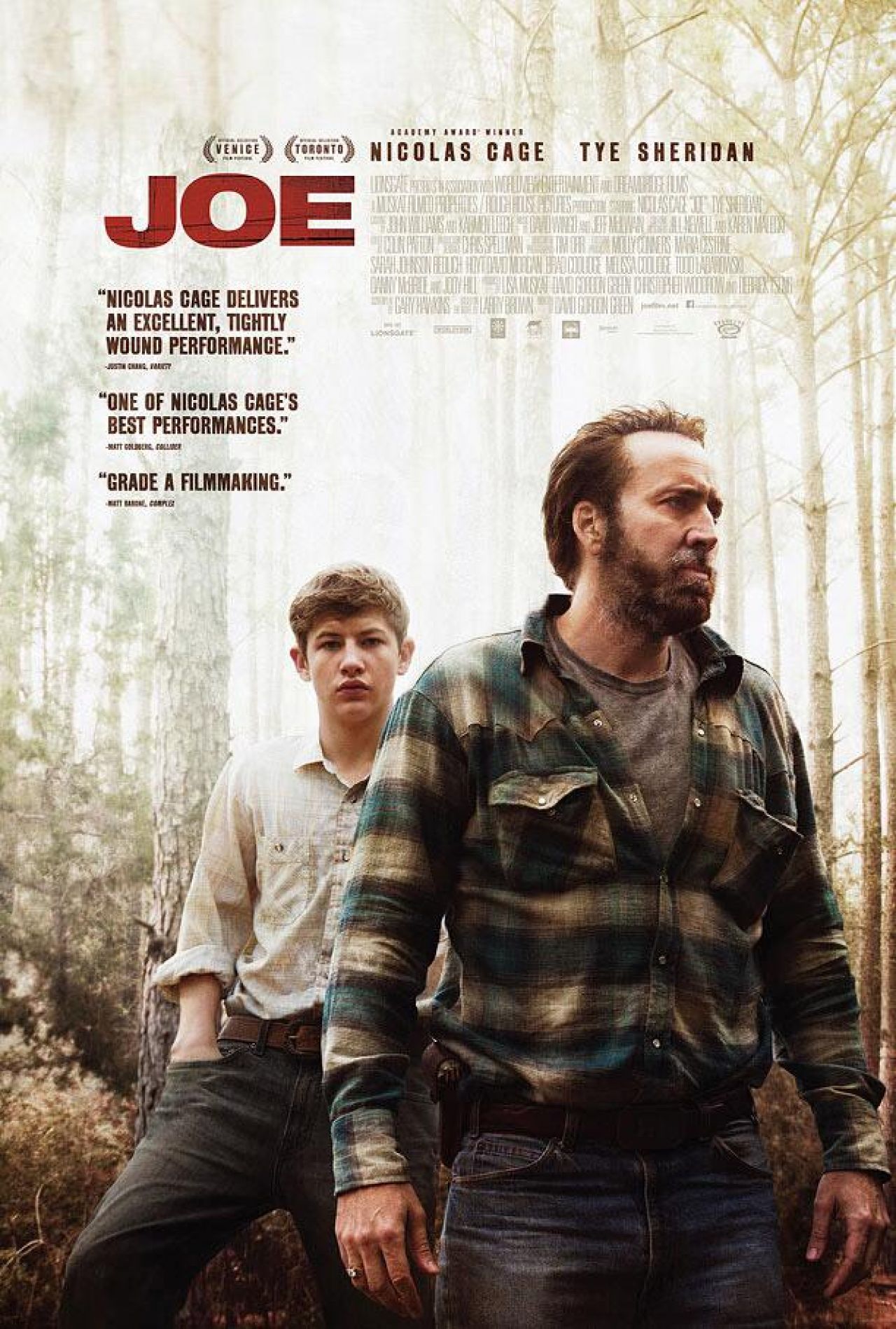 Joe (2013) [MULTI] [1080p] [BluRay] [x264-DSiTE] [Lektor i Napisy PL]