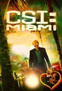 CSI Kryminalne zagadki Miami - CSI Miami 2002-2012 [S01-S10] [720p WEB-DL H264-FT] [Lektor PL] [Alusia]