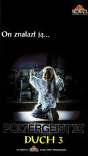 Duch III / Poltergeist III (1988) [PL 720p BDRip XviD AC3-ELiTE] [Lektor PL] [avi] [FIONA9]