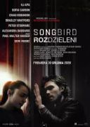 Songbird. Rozdzieleni / Songbird (2020) [BRRip.XviD-GR4PE] [Lektor PL] 