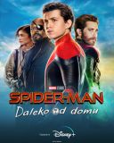 Spider-Man: Daleko od domu / Spider-Man: Far From Home (2019) [PL 720p WEB-DL H 264-FOX] [Dubbing PL] [mkv] [FIONA9]