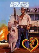 Samotny Wilk McQuade - Lone Wolf McQuade 1983 [1080p.WEB-DL.H264-AS76-FT] [Lektor PL] [Alusia]