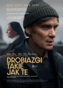 Drobiazgi takie jak te / Small Things Like These (2024) [PL.720p.edition-WEB-DL.H265.DarK] [Lektor PL] [mkv] [FIONA9]