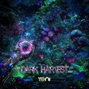 (Psy-Trance) VA - Dark Harvest, Vol. 1 (Yoni Records [YONIRECVADH01]) - 2026, [FLAC] [ToAlien]