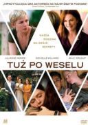 Tuz po weselu / After The Wedding (2019) [480p] [BDRip] [XviD] [AC3-KRT] [Lektor PL]